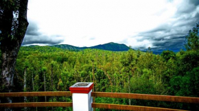 Memories of Malnad